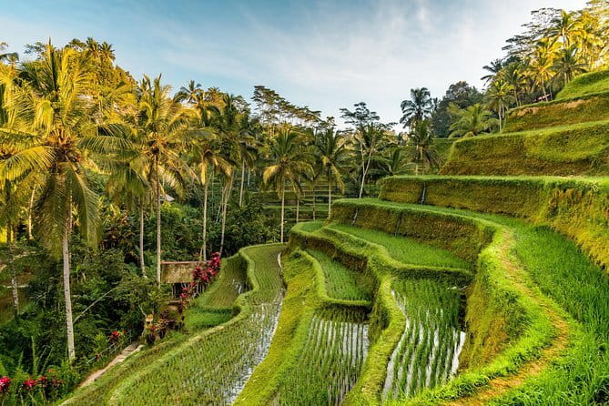 Full Day Tour to Water Temples UNESCO Rice Terraces in Bali - Ulun Danu Beratan, Bali’s temple on the lake