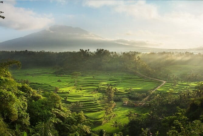 Full Day Tour to Water Temples UNESCO Rice Terraces in Bali - Luhur Batukaru Temple below Bali’s second-highest volcano