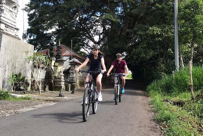 Half Day Cycling Tour ( Manual Bike ) - Rice paddies and Bali’s irrigation system