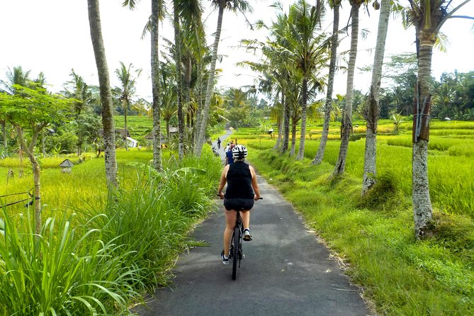 Half-Day Ubud Electric Cycling Tour to Tirta Empul Water Temple - A quiet start near Petulu at 8:00 am