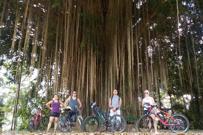Half-Day Ubud Electric Cycling Tour to Tirta Empul Water Temple - Lunch at Pangkon Bali Resto