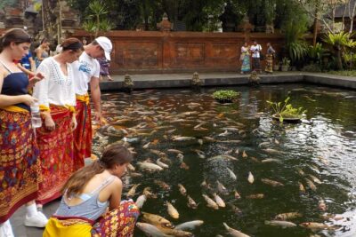 Half-Day Ubud Electric Cycling Tour to Tirta Empul Water Temple