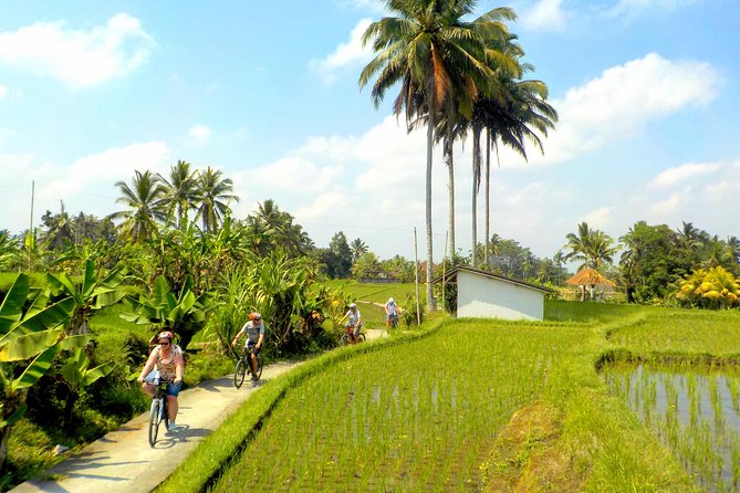 Half-Day Ubud Electric Cycling Tour to Tirta Empul Water Temple - Guides, safety, and the pace of the morning