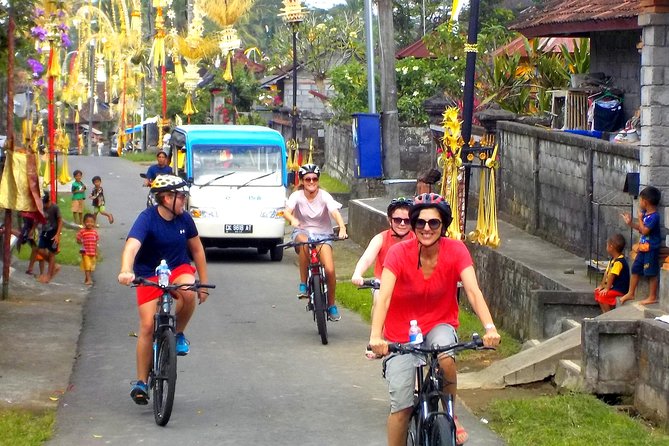 Half-Day Ubud Electric Cycling Tour to Tirta Empul Water Temple - What the three-hour format really gives you
