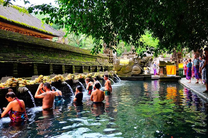 Half-Day Ubud Electric Cycling Tour to Tirta Empul Water Temple - Who should book this Ubud e-bike tour?
