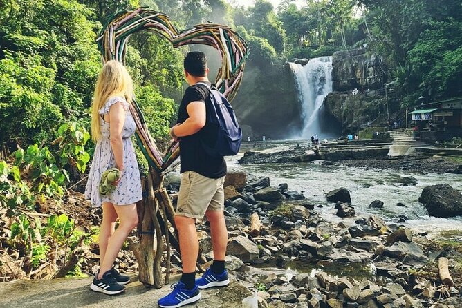 Half Day Ubud Tour - Private Guided Tour - What the private vehicle adds to the experience