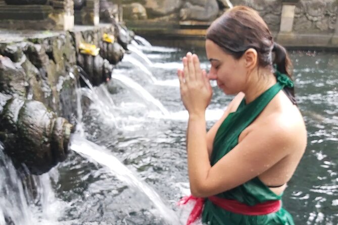 Half Day Ubud Tour - Private Guided Tour - Tegenungan Waterfall: a quick dose of Bali scenery