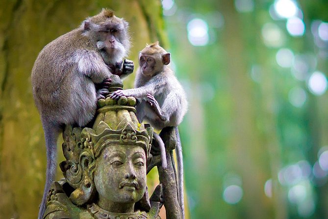 Half Day Ubud Tour: Ubud Unique Spots - Is $38.98 a fair price?