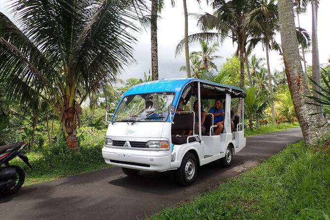 Half Day Ubud Waterfall Tour - Key details at a glance