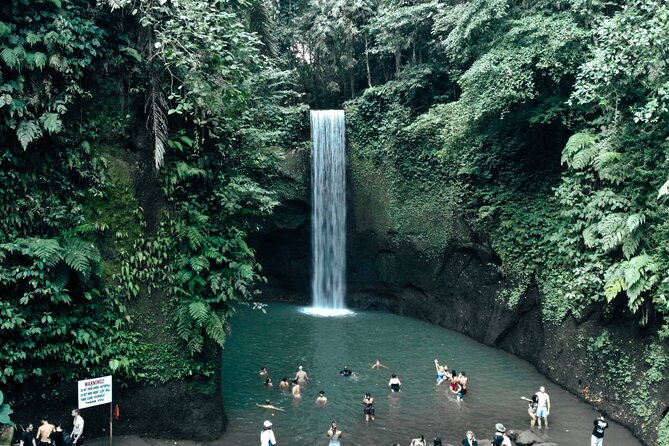 Half Day Ubud Waterfall Tour - The stair test: who should book?