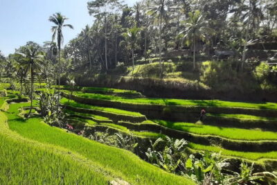 Heaven Gate, Tirtagangga and Tukad Cepung Waterfall – All Inclusive