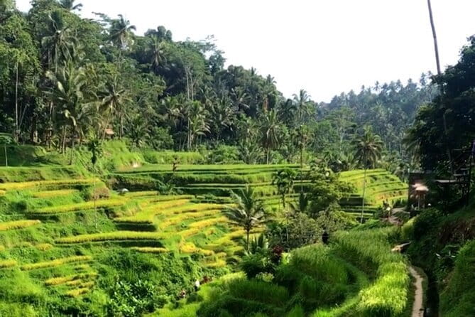 Heaven Gate, Tirtagangga and Tukad Cepung Waterfall - All Inclusive - The value of a private English-speaking driver guide