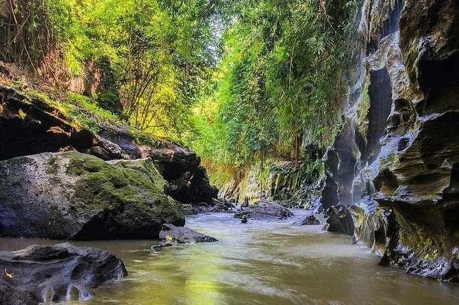 Hidden Canyon Beji Guwang & White Water Rafting - Two Ubud adventures in one demanding day