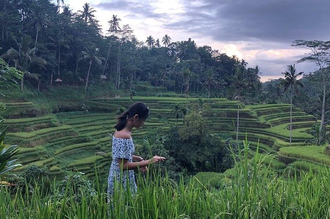 Hire Bali Driver for 10-hour (Bali as You Please) - North Bali: lakes, gates, and broad mountain views