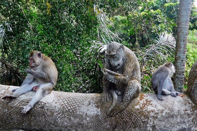 Hire Bali Driver for 10-hour (Bali as You Please) - Tanah Lot and the beaches of the south coast