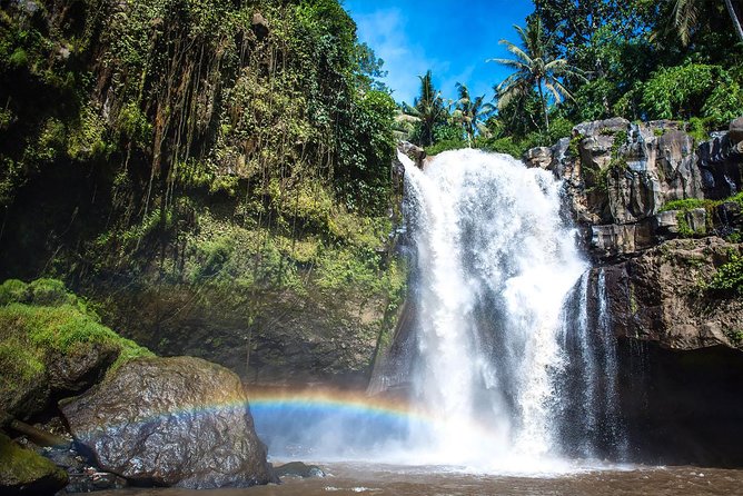 Hire Private Bali Driver - Who will get the most from this service