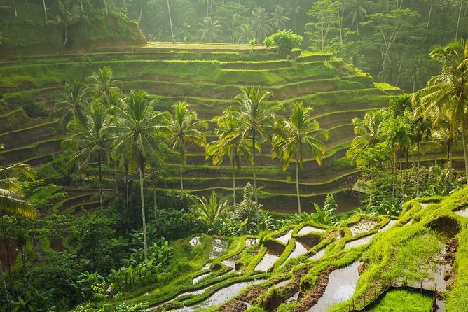 Hire Private Bali Driver - Building an eight-hour route that works