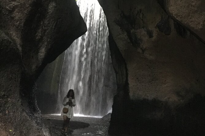 Instagram Tour Popular Spot in Bali - Private & All-inclusive - Private transport and the value of $36