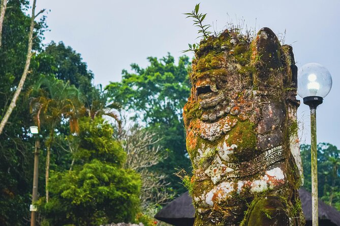 Jatiluwih Batukaru Mountain Nature's Best Tour - Guides, drivers, and the human side of the day