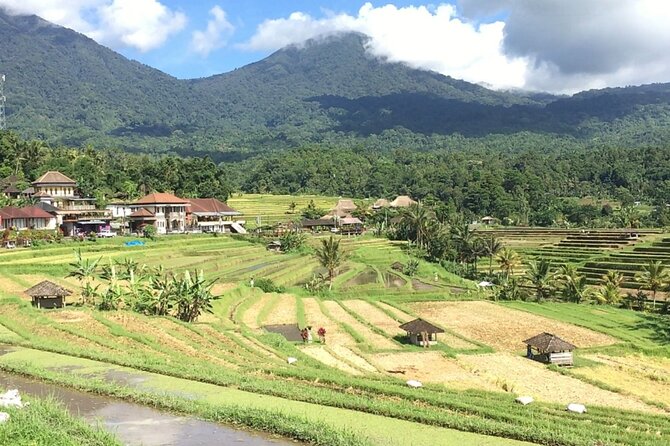 Jatiluwih Batukaru Mountain Nature's Best Tour - The craft stops and shopping question