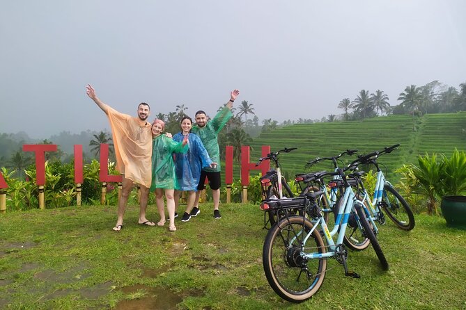 Jatiluwih E-bikes Tour Cycling Group - Is $49.95 a fair price?