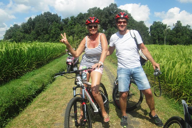 Jatiluwih in detail (1 h. e-bike tour in the rice terraces) - What the One-Hour Route Gives You