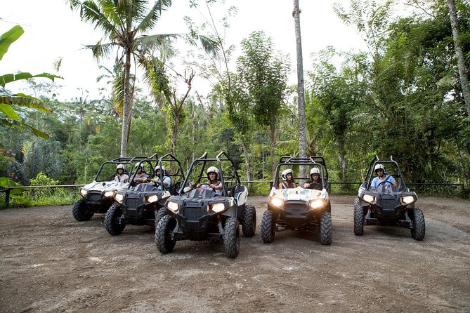 Jungle Buggy Adventure and Ubud Tour - Two kinds of Bali in one 10-hour day