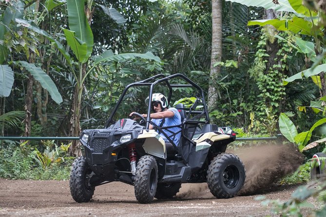 Jungle Buggy Adventure and Ubud Tour - Tegalalang Rice Terrace and the Ubud countryside