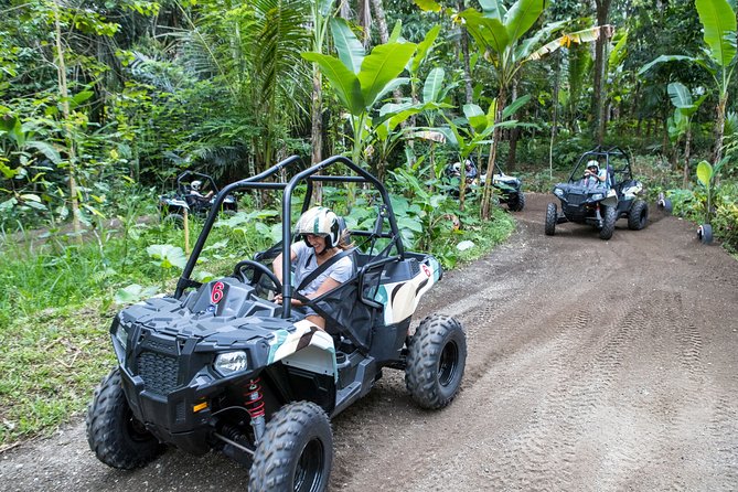 Jungle Buggy Adventure and Ubud Tour - The driver can make or break the day