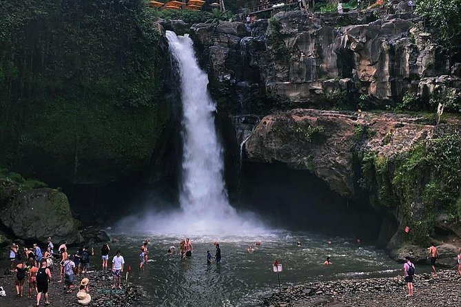 Jungle Swing - Volcano - Water Temple - Monkey Forest and Waterfall Tour - What this private Bali day tour is really like