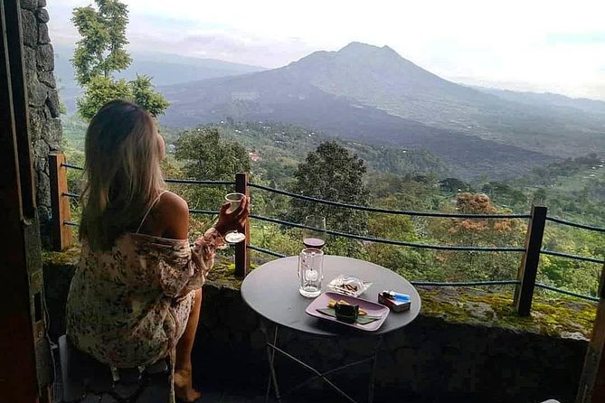 Jungle Swing - Volcano - Water Temple - Monkey Forest and Waterfall Tour - Kintamani Highland and Mount Batur views