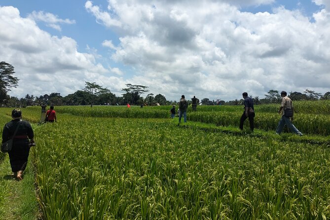 Keliki Village Tour And Rice Field Walk Including Lunch Or Dinner - Key points before you book