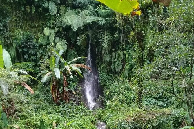 Keliki Village Tour And Rice Field Walk Including Lunch Or Dinner - What the Keliki walk is really like