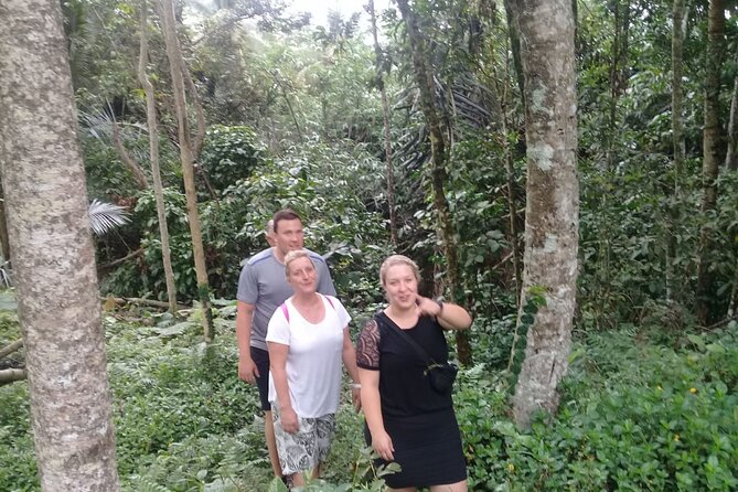 Keliki Village Tour And Rice Field Walk Including Lunch Or Dinner - Following water through the rice fields