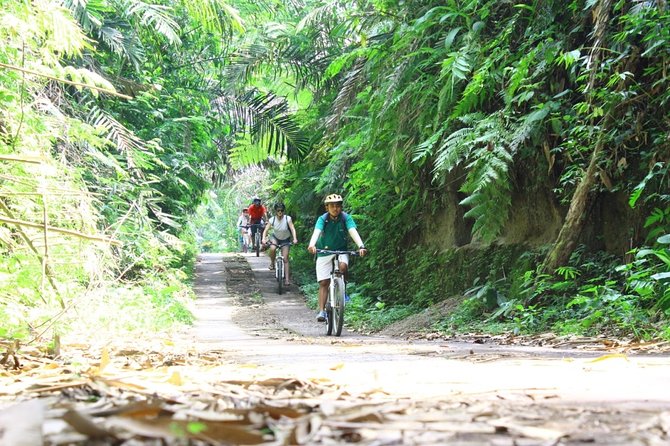 Kintamani Cultural and Nature Cycling Tour ( Manual Bike ) - Abuan village and a real local home