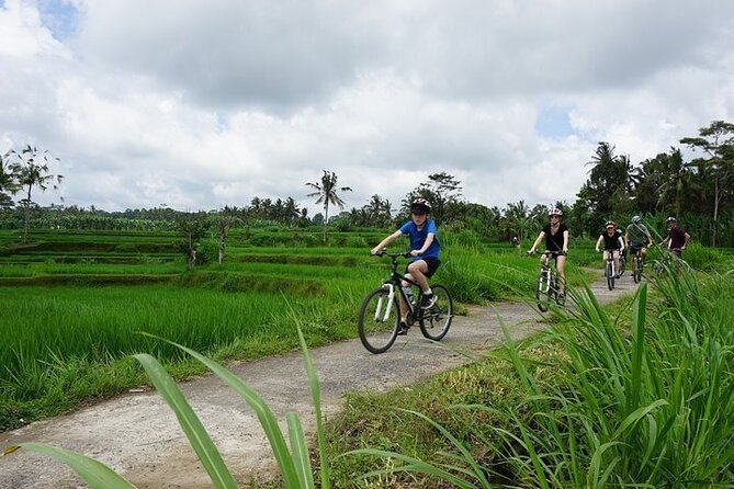 Kintamani Cultural and Nature Cycling Tour ( Manual Bike ) - Price, group size, and what you receive