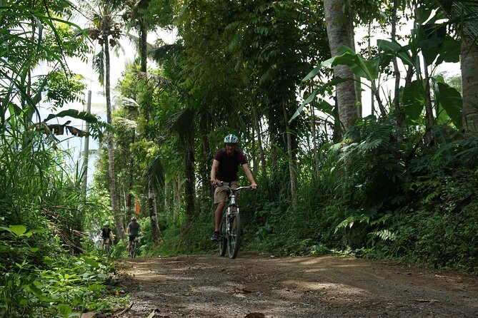 Kintamani Cultural and Nature Cycling Tour ( Manual Bike ) - The morning climb to Kintamani