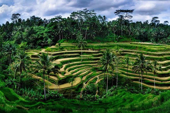 Kintamani Vulcano Tour - Why this Ubud to Kintamani route works