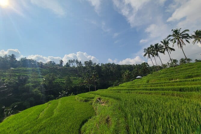 Lemukih Hidden Trekking Waterslide Sekumpul and Fiji Waterfall - Fiji Waterfall and the Changing Pace