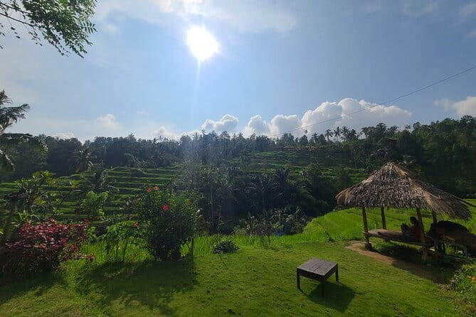 Lemukih Hidden Trekking Waterslide Sekumpul and Fiji Waterfall - Rice Terraces, Forest, and Clear Streams