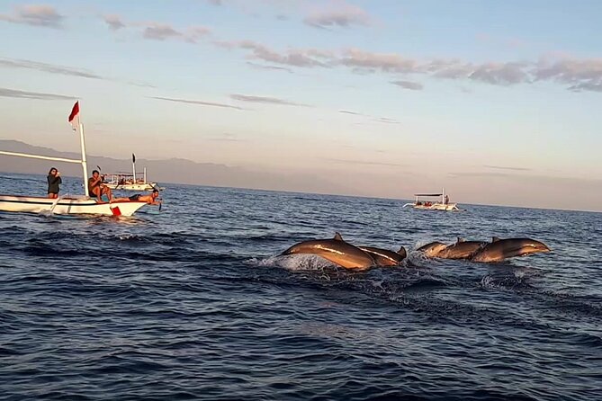Lovina Sunrise Dolphin with option snorkeling and waterfall - Key points to know before booking