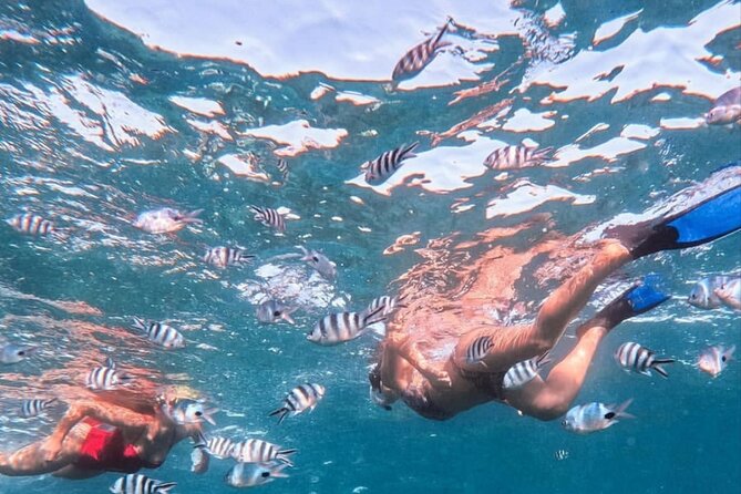 Lovina Sunrise Dolphin with option snorkeling and waterfall - Celuk Agung Beach and the meeting-point question