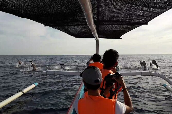 Lovina Sunrise Dolphin with option snorkeling and waterfall - The dolphin search: genuine nature, possible crowding