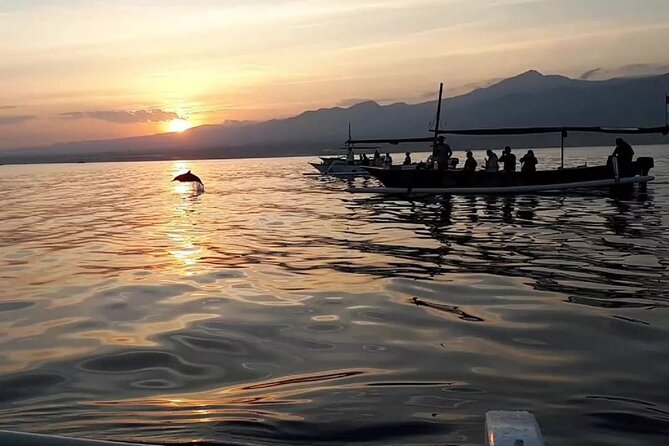 Lovina Sunrise Dolphin with option snorkeling and waterfall - What the private vehicle adds