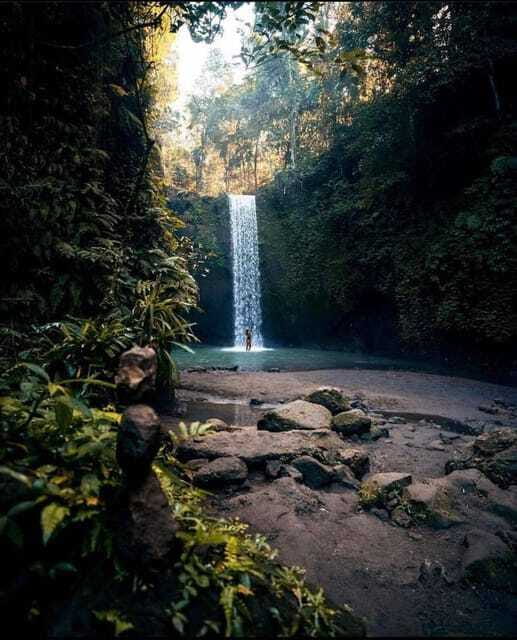 Monkey Forest, Kanto Lampo, Waterfall, Temple & Rice Terrace - Coffee plantation tasting and local produce