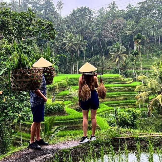Monkey Forest, Kanto Lampo, Waterfall, Temple & Rice Terrace - Guides, flexibility, and the human side of the day