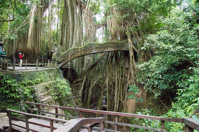 Monkey Forest Ubud Half day Tour - Tegalalang rice terrace and the famous Ubud view