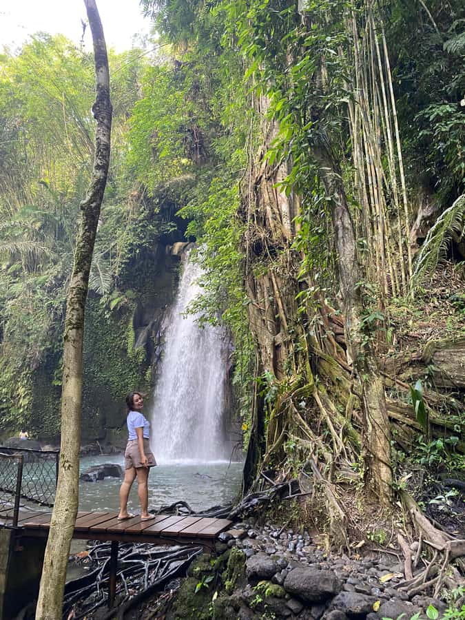 Monkey Forest, Waterfall ,Temple and Rice Terrace - Sacred Monkey Forest Sanctuary: entertaining, busy, and worth staying alert