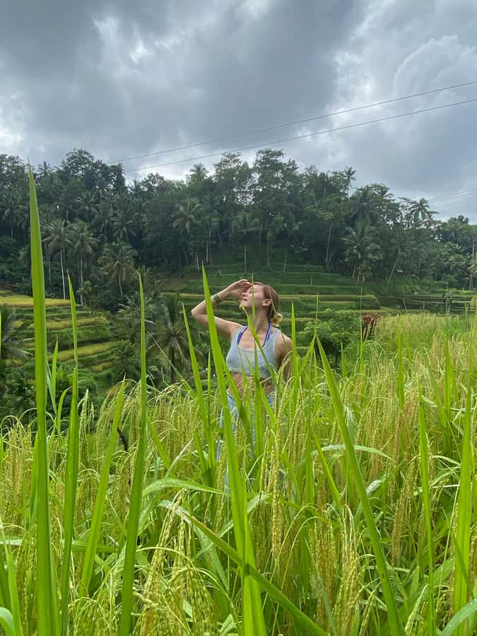 Monkey Forest, Waterfall ,Temple and Rice Terrace - Tegalalang Rice Terrace: start with Bali’s famous fields