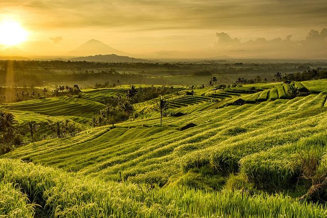 More Complete: Discover Bali In 3 Days Private Tour Package - Who should book this Bali package?
